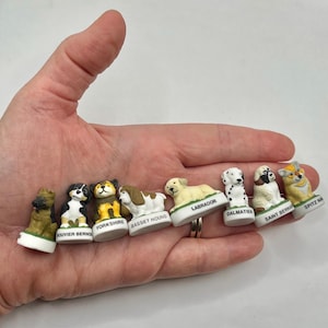 May include: A collection of eight small ceramic dog figurines, each mounted on a white base with a breed name printed in black text, including labels for Bouvier Bernois, Yorkshire, Basset Hound, Labrador, Dalmatien, Saint Bernard, and Spitz Nain.