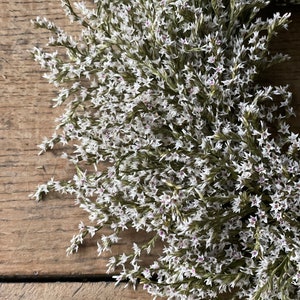 May include: Close-up of a dried floral arrangement with white flowers and green stems. The flowers have tiny purple centers. The arrangement is set against a rustic, wooden background, creating a natural aesthetic.