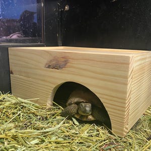 Tortoise House for Small Tortoises, Perfect for Russian Tortoise