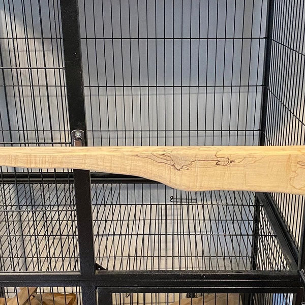 21" Bird Perch for Enclosures and Cages Live Edge Hard Maple - Parrot, Lovebird, Parakeet, Cockatiel, Cockatoo, Finch, Canary