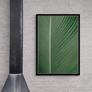 Plant Wall Art, Nature Framed Canvas, Abstract Canvas, Botanical Wall Art, Tropical Canvas, Maximalist Wall Art, Modern Silver Framed Canvas