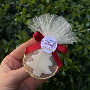 Saponette natalizie a forma di cuore, saponette all'albero di pino, mini saponette, regali di Natale 2025, saponette natalizie di buone feste, bomboniere natalizie all'ingrosso