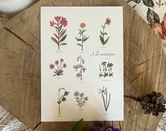 Herbier "À la montagne"