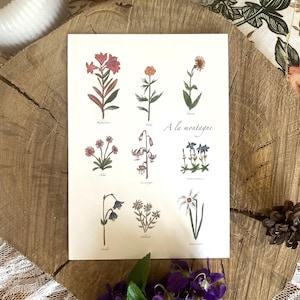 Herbier "À la montagne"