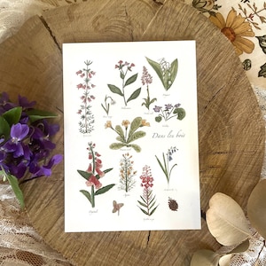 Herbier "Dans les bois" Format A6 et A4