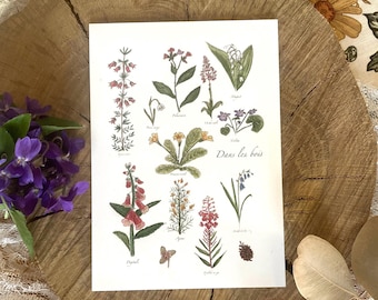 Herbarium &quot;In the woods&quot; A6 and A4 format
