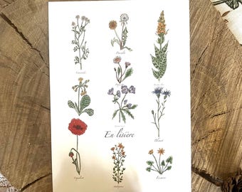 Herbarium &quot;On the edge&quot; A6 and A4 format