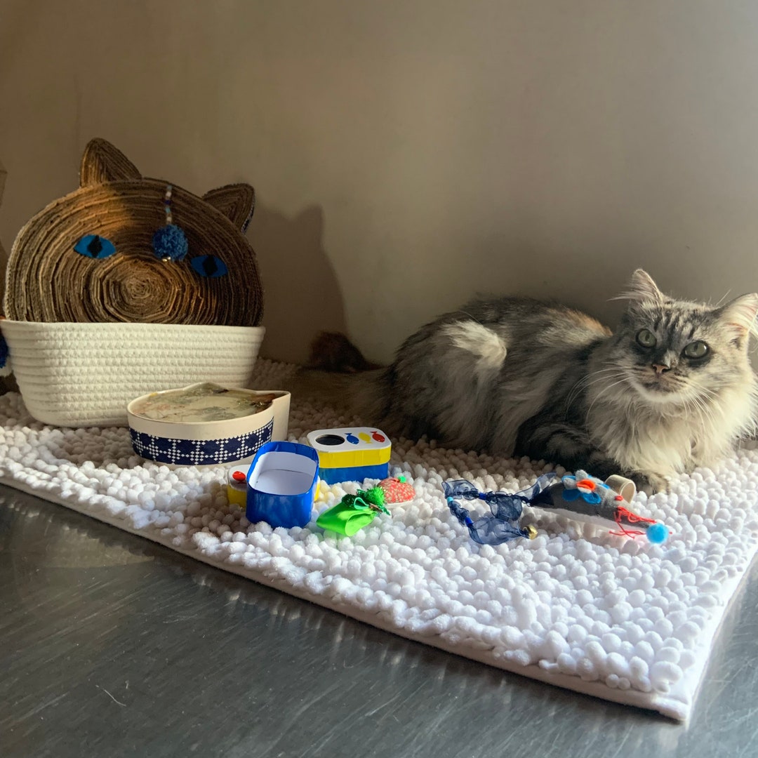 Surprise Basket for Cat Etsy