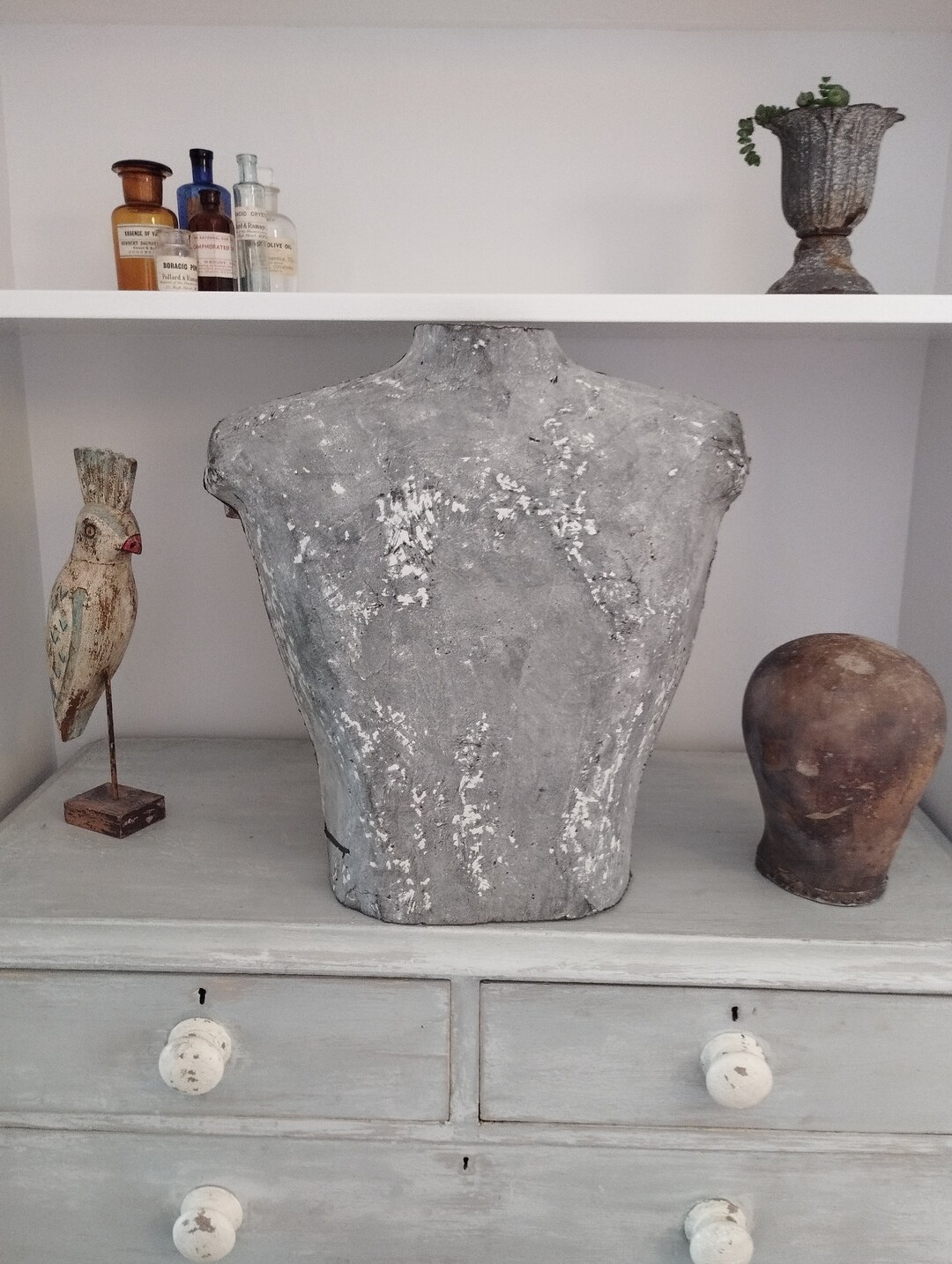 Mannequin Torso Vintage Shop Torso/tailors Dummy Etsy