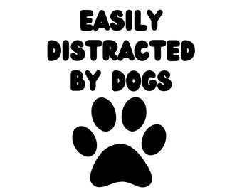 Facilement distrait par les chiens