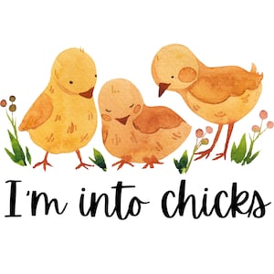 I&#39;m into chicks PNG