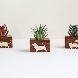 Puede incluir: Tres pequeñas macetas de madera con recortes decorativos de animales. Cada maceta en forma de cubo contiene una suculenta diferente. Los recortes de animales incluyen un gato, un perro y otro gato. Las macetas son de color marrón oscuro.