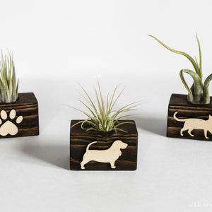 Mini Wood Air Pflanzenhalter | Hund, Katze, Pflanzenmutter Geschenk | Kleiner Blumentopf | Schreibtisch Dekor | Kleiner Miniatur Blumentopf
