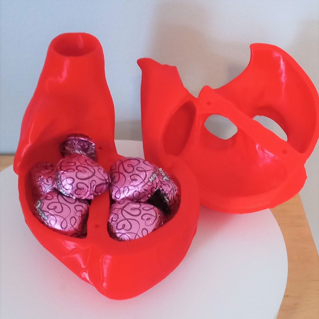 Heart Shaped Box Anatomical Heart Candy Box Etsy