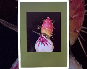 Whimsical Calliope Hummingbird Notecard: Vicki Sawyer Bird Art, Birds Wearing Hats