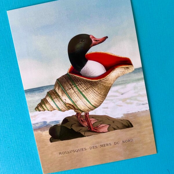 Duck as Mollusk Postcard