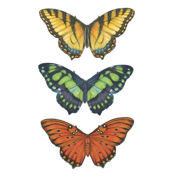 Butterflies Table Accents Multi-Color - Set of 12; Great for craft projects