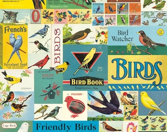 Birds Gift Wrapping Paper, Cavallini Italian Archival Paper