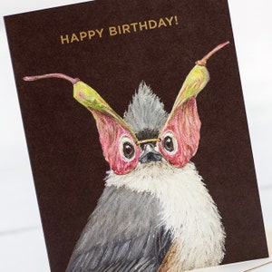 Titmouse Wearing Maple Seed Glasses Notecard by Vicki Sawyer, Birthday Notecard, Birthday Card