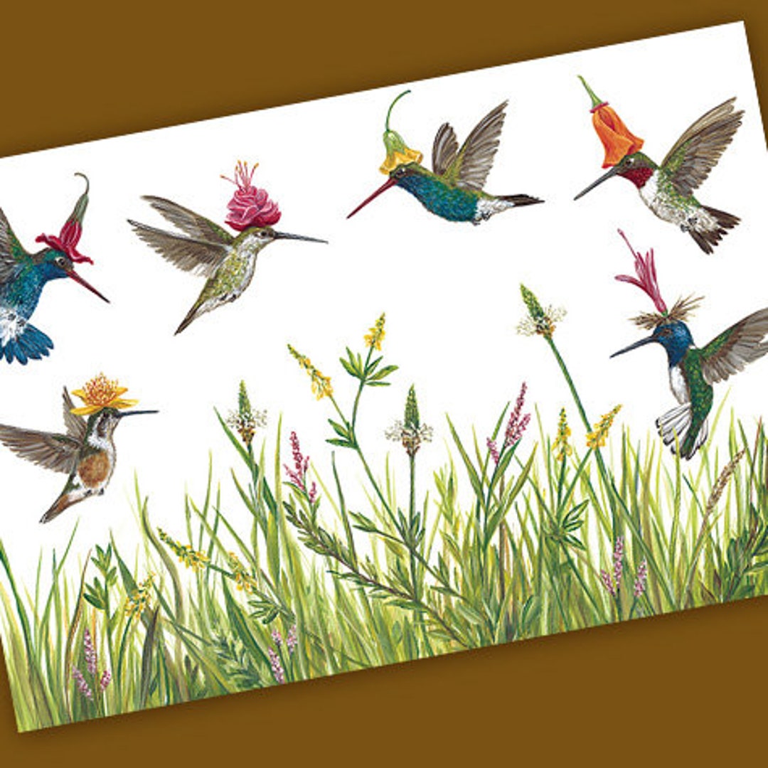 Vicki Sawyer Hummingbirds Placemats Pad of 50 Etsy