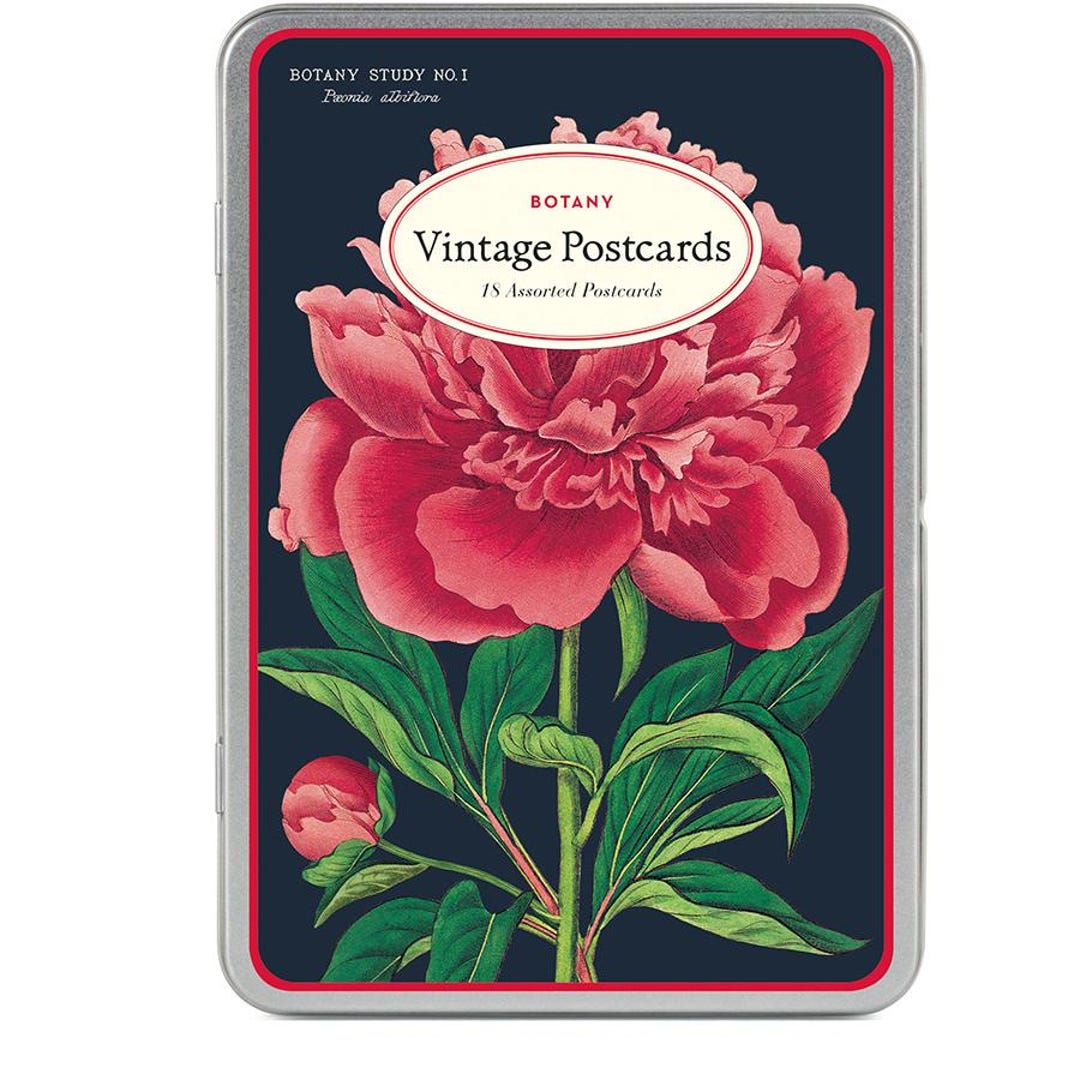 Vintage Botanical Postcard Set From Cavallini and Co, Flower Postcards ...