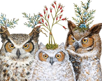Vicki Sawyer Party Birds Cocktail Napkins: Owls Wearing Hats, Set of 20