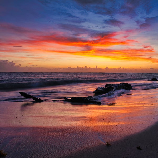 Extra Large Wall Art Etsy Canada