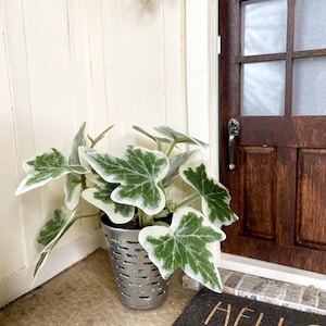 Dollhouse Artificial Plant, Miniature plant, Dollhouse Decor, Dollhouse accessories Modern Miniature, 1:12 scale, English Ivy Plant