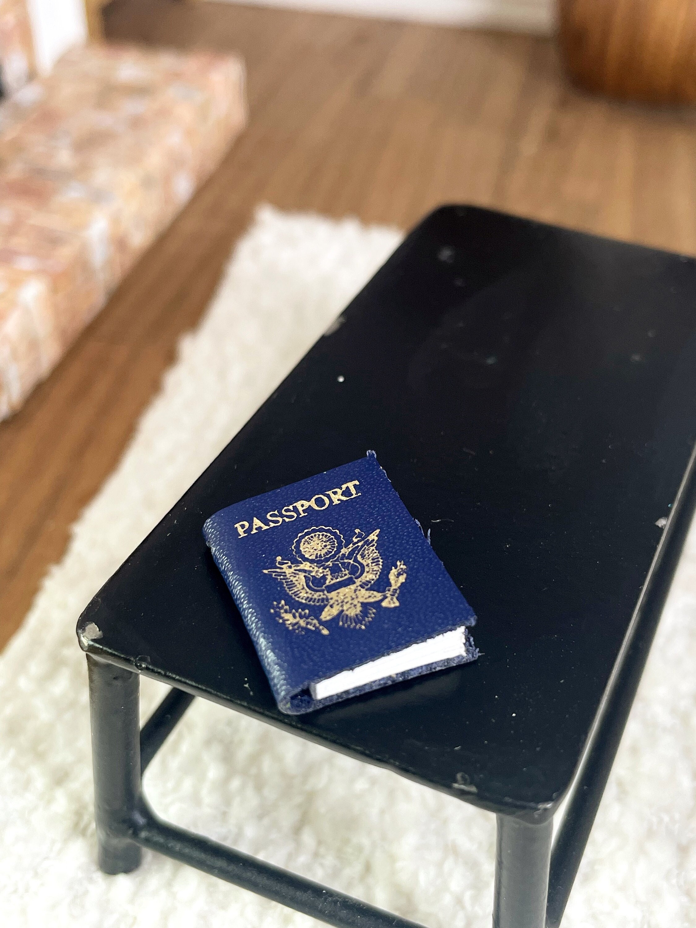 Dollhouse Miniature Passport, Dollhouse Home Decor, Modern Dollhouse