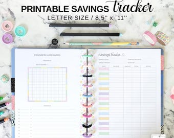 Printable Savings Tracker, Savings Goal Planner Insert Fit Big Happy Planner, 100 Square Savings Challenge, Finance Tracker Page Letter Size