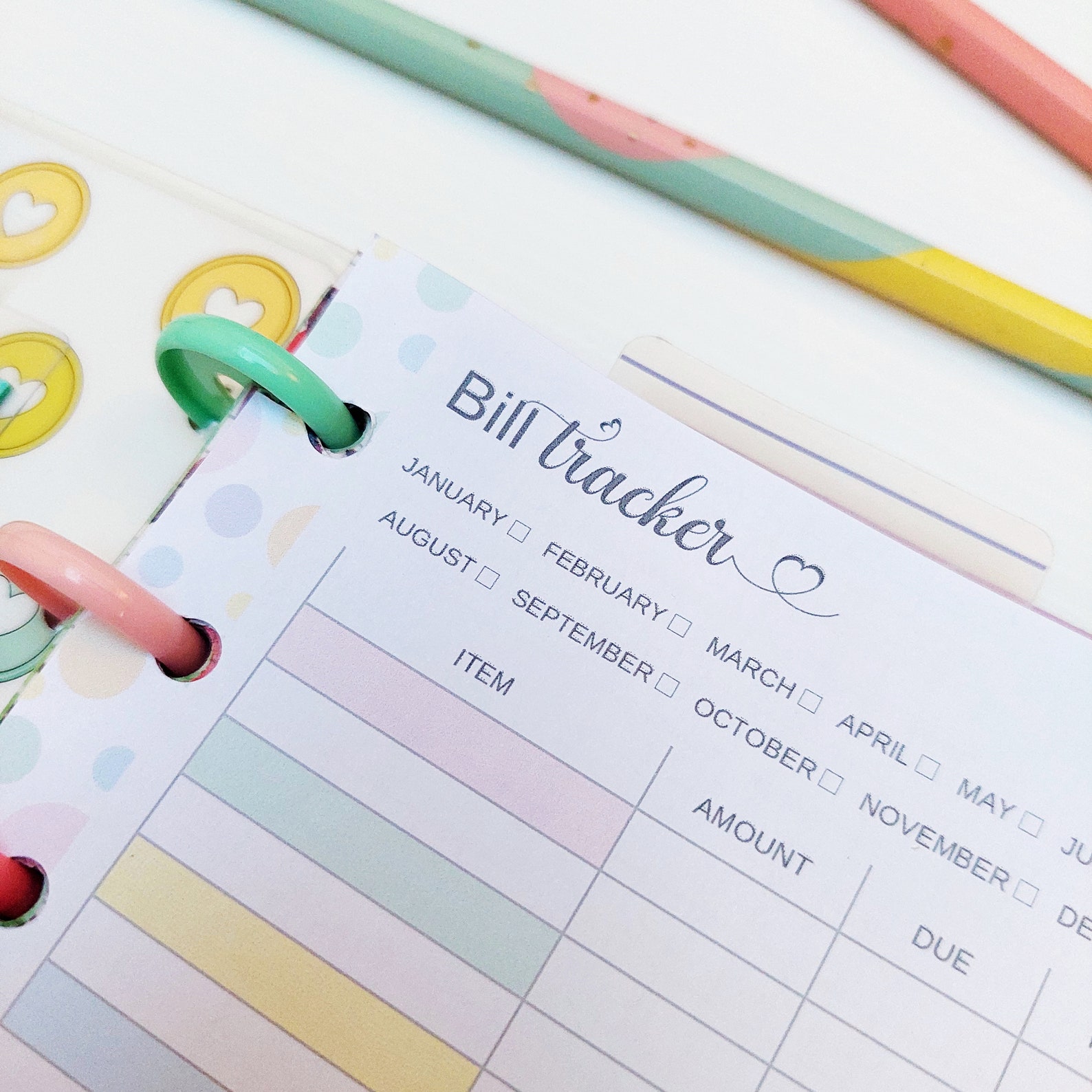 Monthly Bill Tracker Printable Fit Happy Planner Skinny Classic, Half ...