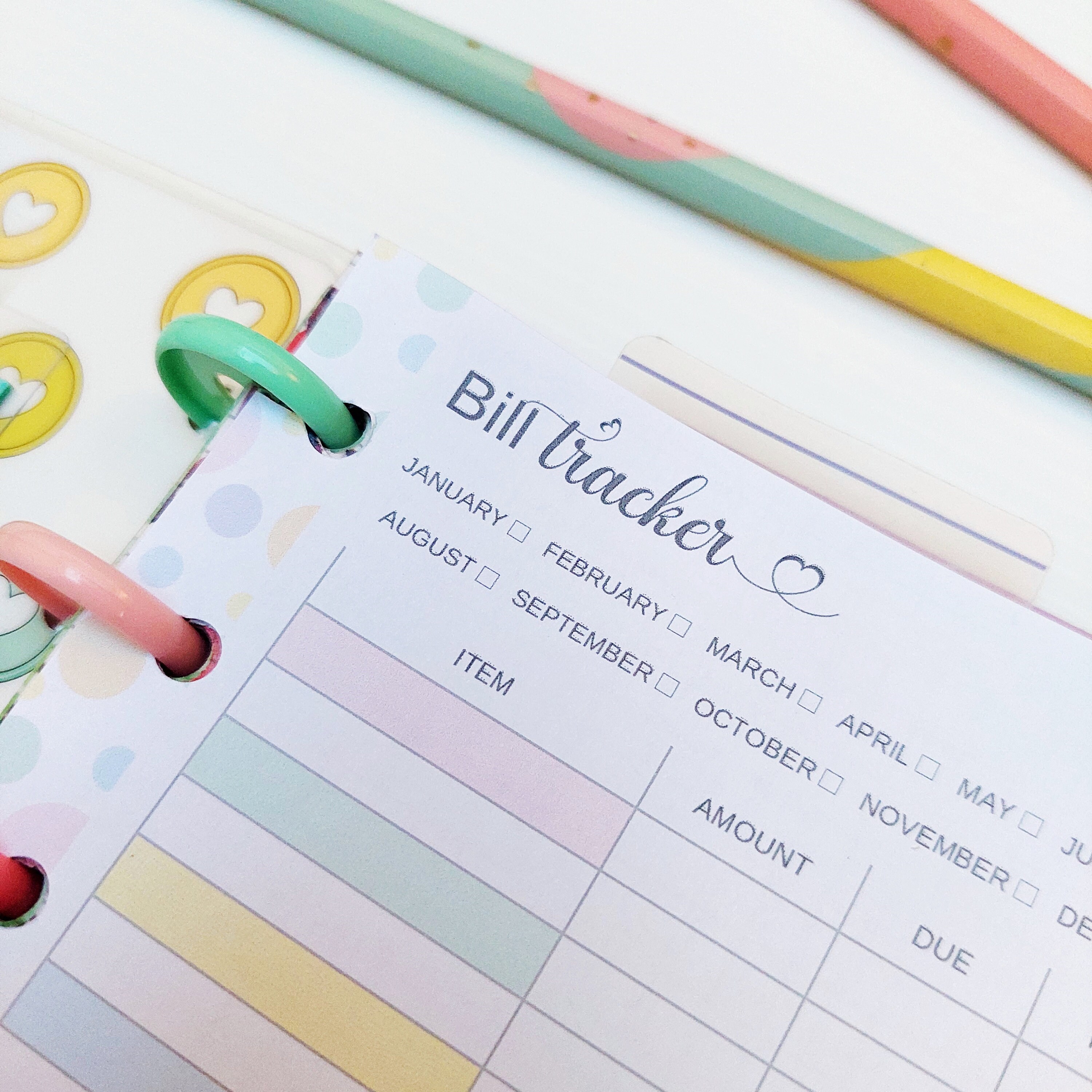 Bill Tracking Insert Fit Skinny Classic Happy Planner, Printable Half ...