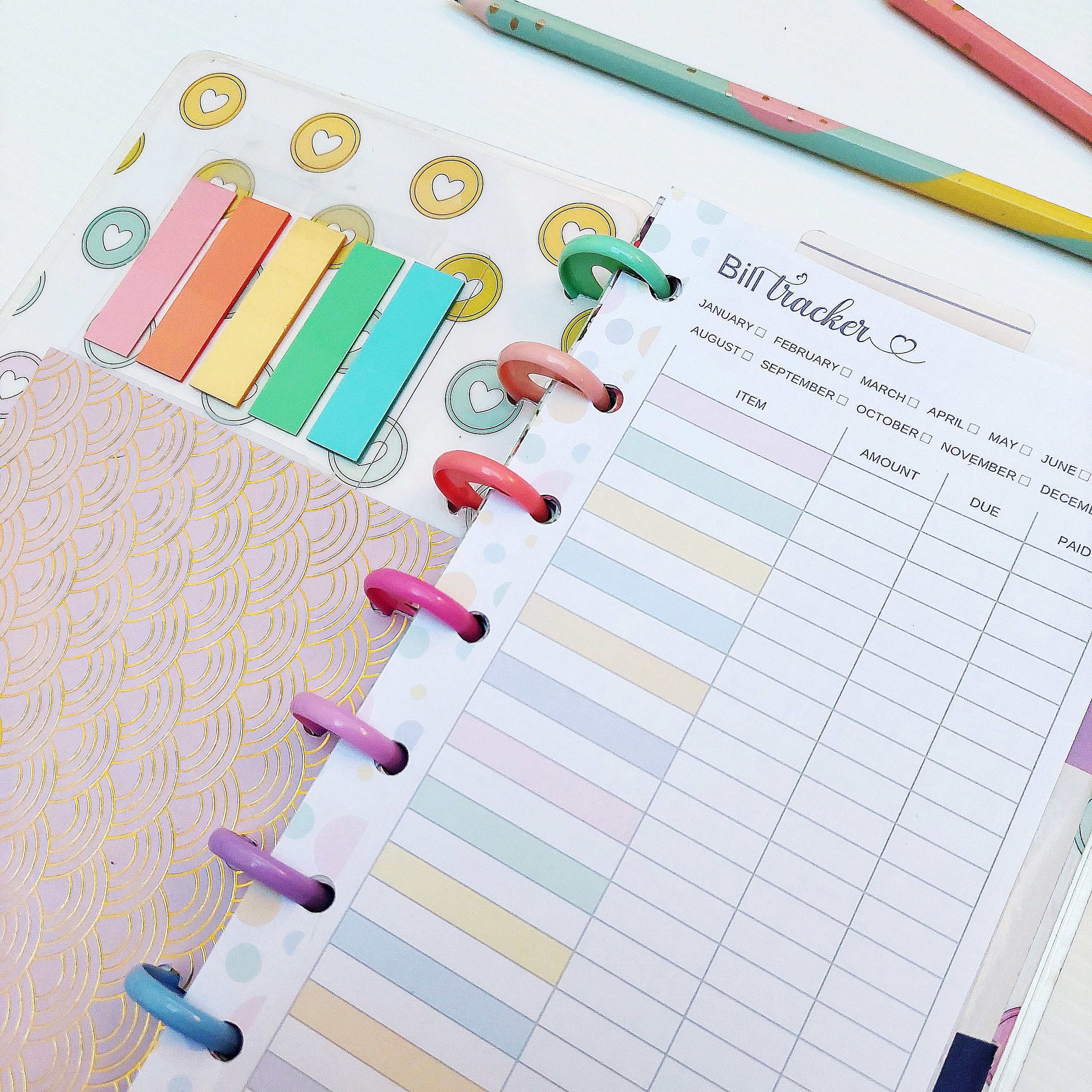 Bill Tracking Insert Fit Skinny Classic Happy Planner, Printable Half ...
