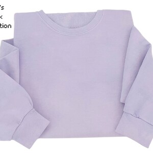 May include: A lavender colored sweatshirt with long sleeves and a crew neck.