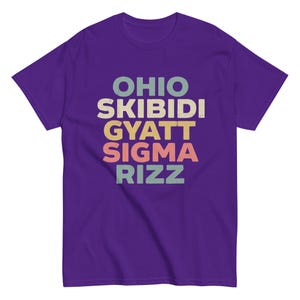Skibidi Rizz Gyatt Ohio Sigma Funny Rizzler Gift Toilet Meme T-shirt ...