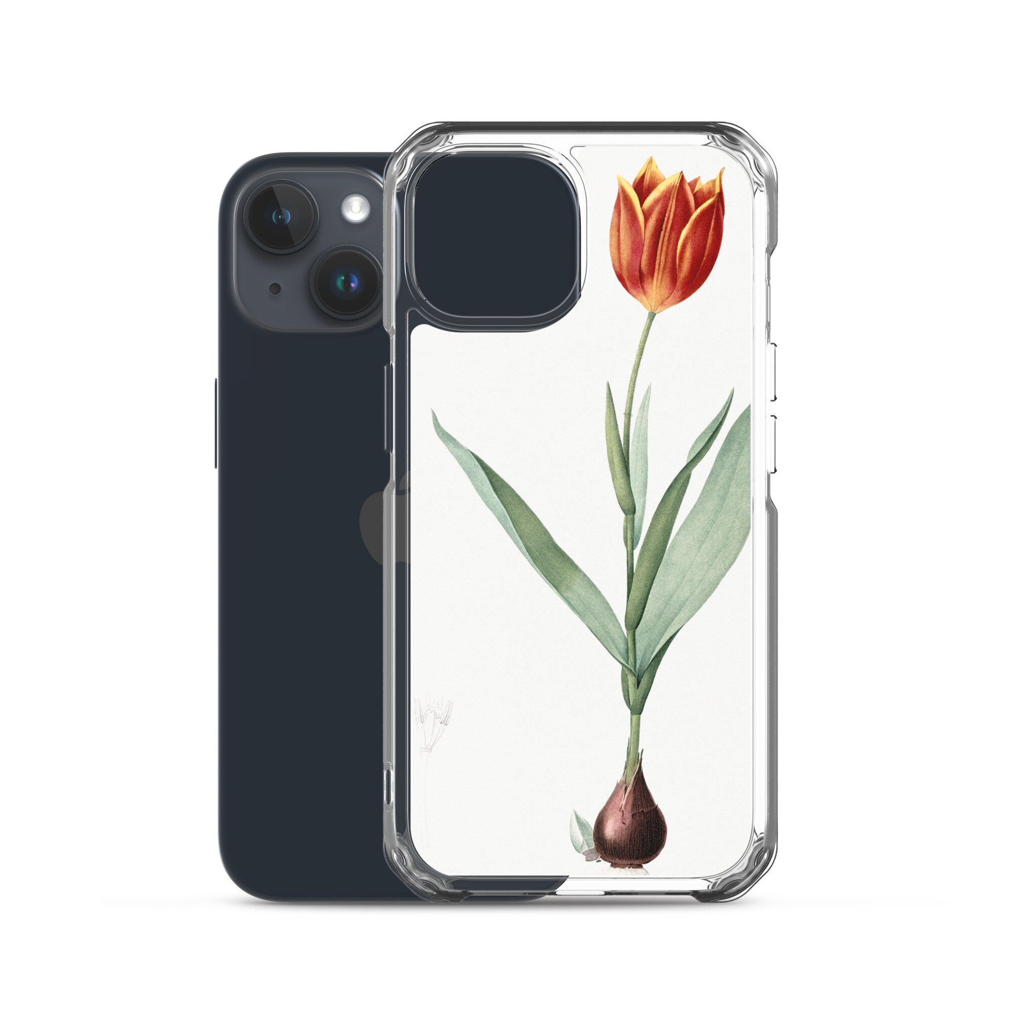 Vintage Tulip Flower iPhone Case