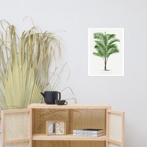 Vintage palm tree illustration Poster