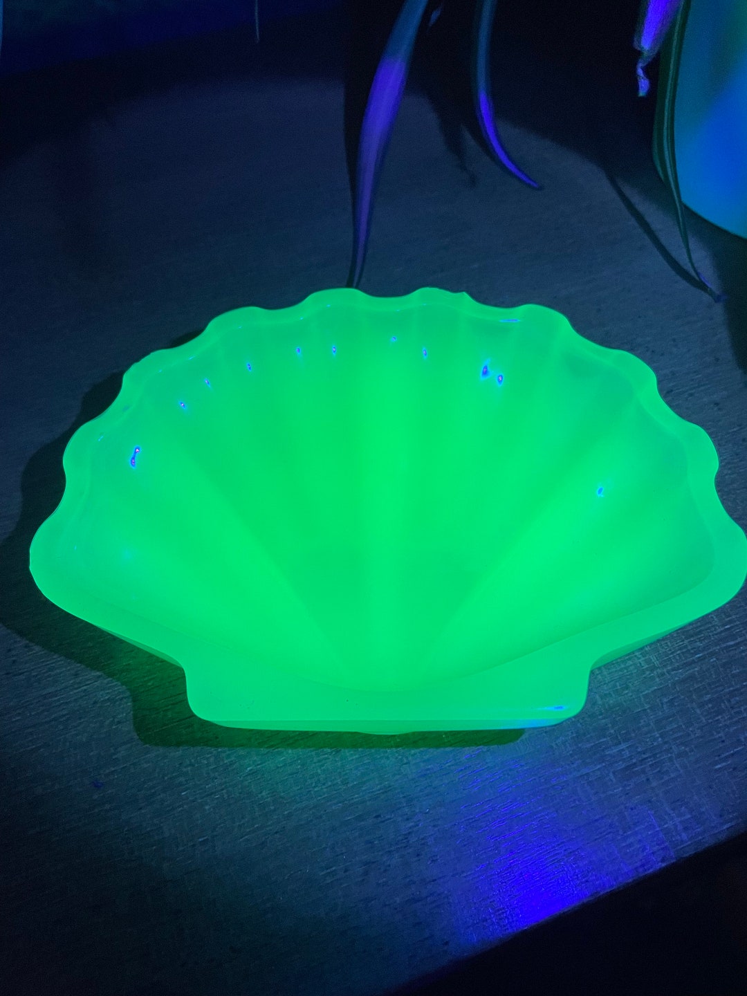 1980s St Michael Jadeite Uranium Shell Shaped Soap Dish Etsy