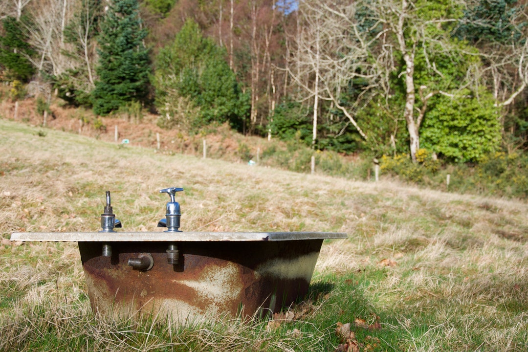 Bathtub Used as a Drinking Trough in a Sheep Field in County Wicklow