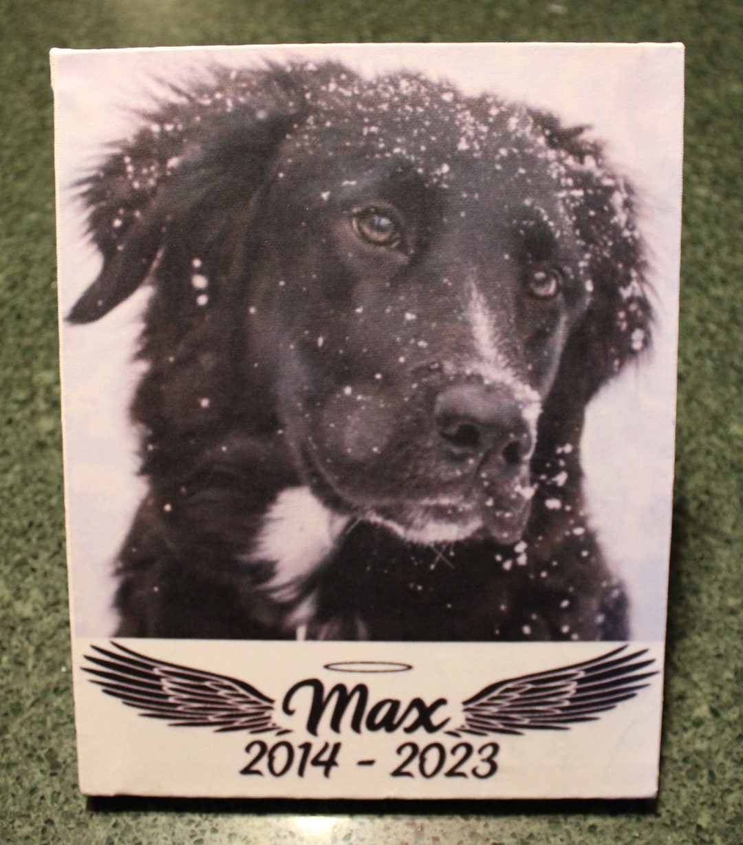 Custom Personalized Memorial Canvas Wall Art - Gift for Dog/Cat Lovers - Memorial Conversation Canvas - Up to 5 Pets