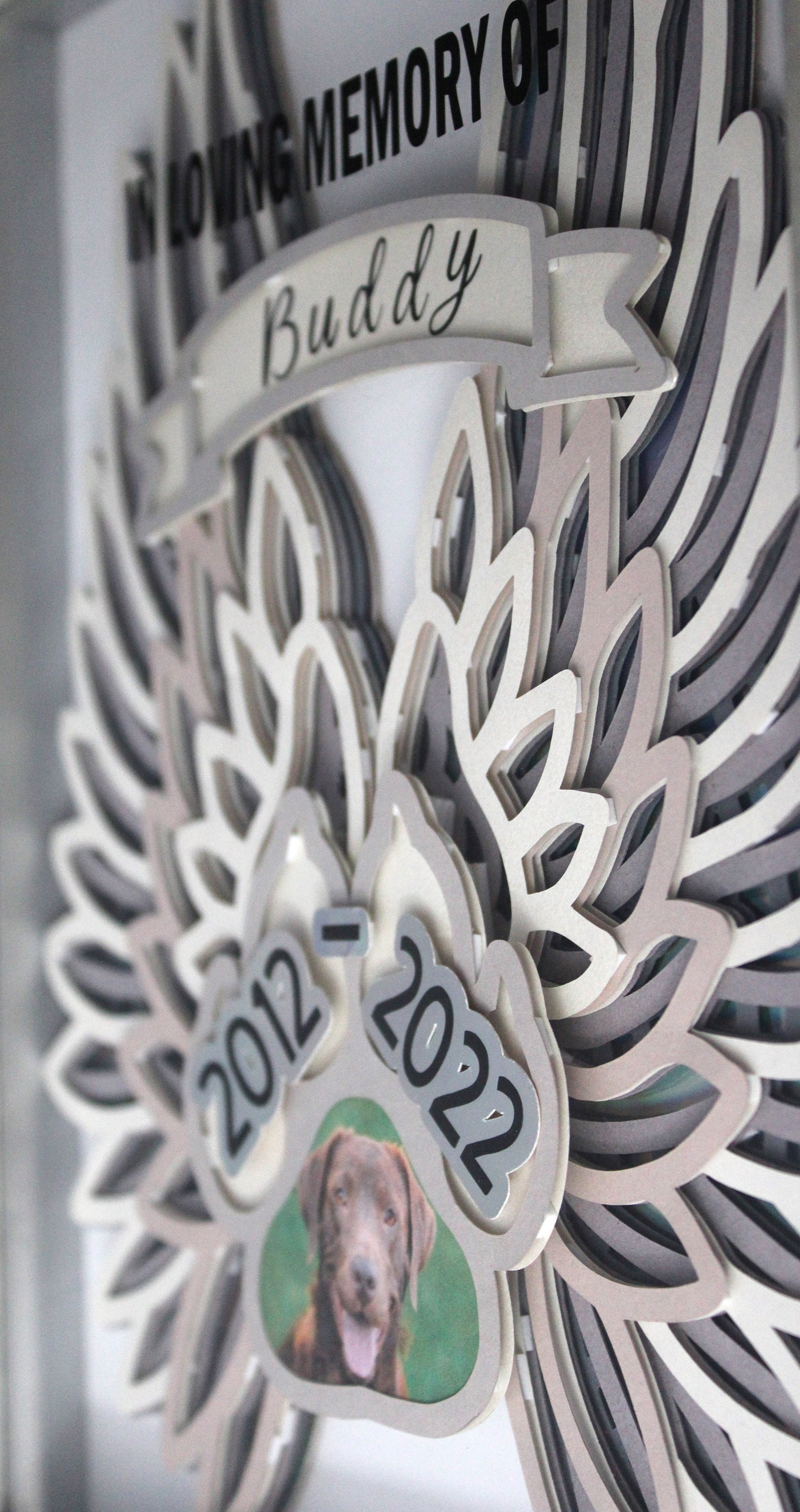 Personalized Pet Memorial Shadow Box, Sympathy Frame, 3D Paw Print