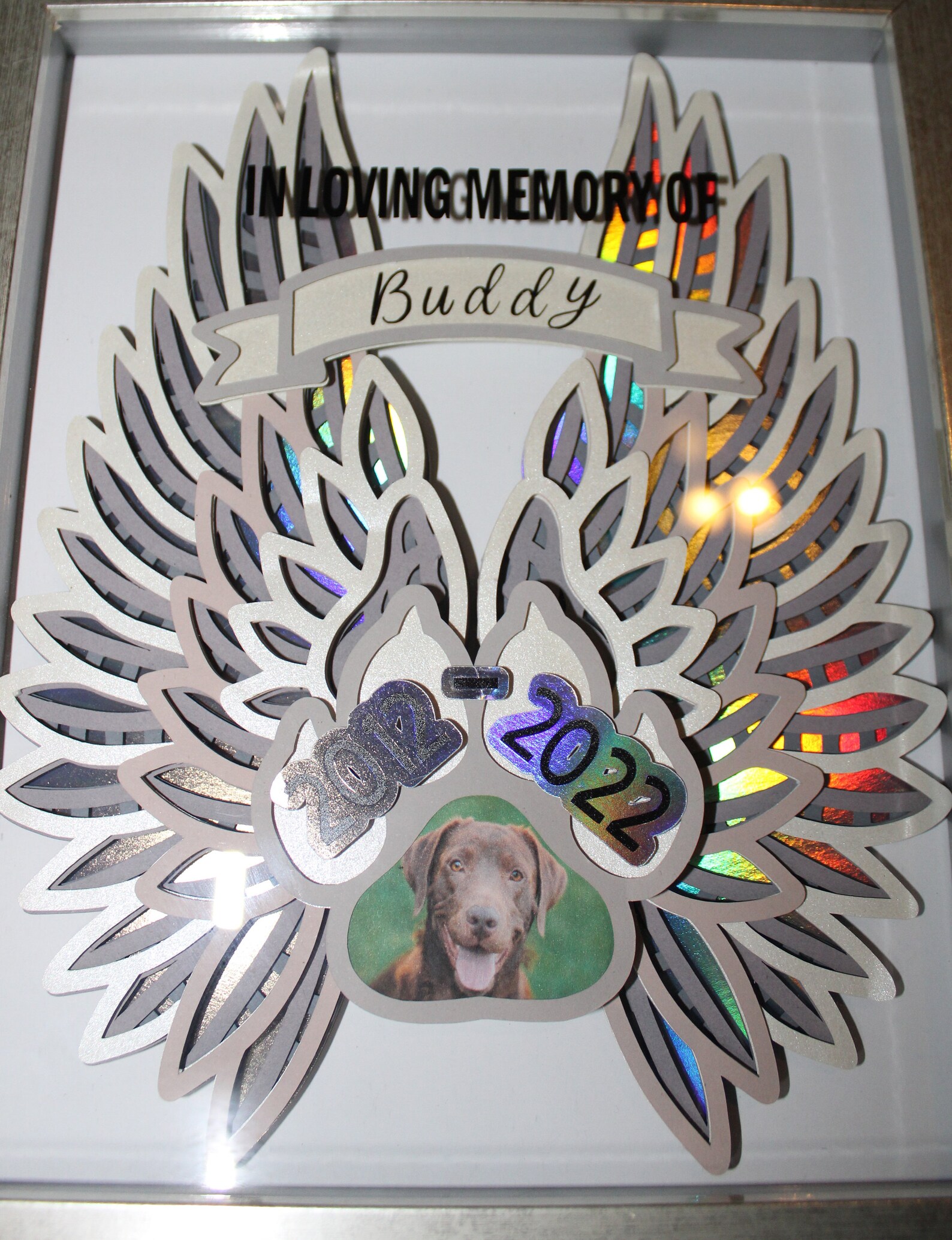 Personalized Pet Memorial Shadow Box, Sympathy Frame, 3D Paw Print ...