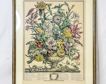 Robert Furbers Month of August Flowers Engraving by Henry