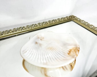 Vintage kunststof gemarmerde Swirl Clam-zeepbakje, vintage zeepbakje, schaaltje trinket, nautisch badkamerdecor, badkamerblad kust