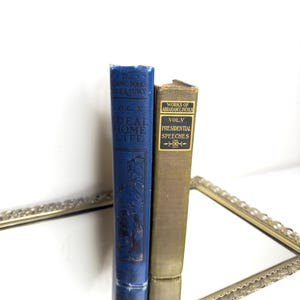 Puede incluir: Dos libros antiguos de tapa dura en una bandeja de espejo dorada. El libro de la izquierda es azul con letras doradas y el título "The Young Folks Treasury, Vol. X, Ideal Home Life". El libro de la derecha es marrón con letras doradas y el título "Works of Abraham Lincoln, Vol. V, Presidential Speeches".