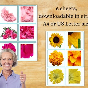 May include: Six printable sheets of flower images, including pink carnations, pink roses, pink peonies, yellow sunflowers, yellow marigolds, and yellow daisies. The text "6 sheets, downloadable in either A4 or US Letter size" is visible in the image.