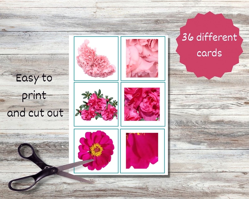 May include: Printable flower cards featuring six different pink flower images. The cards are easy to print and cut out. There are 36 different cards in total.