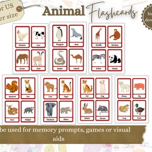 Afdrukbare dierenflitskaarten, visueel hulpmiddel voor senioren, hulp bij dementie, activiteiten voor senioren, zorginstelling