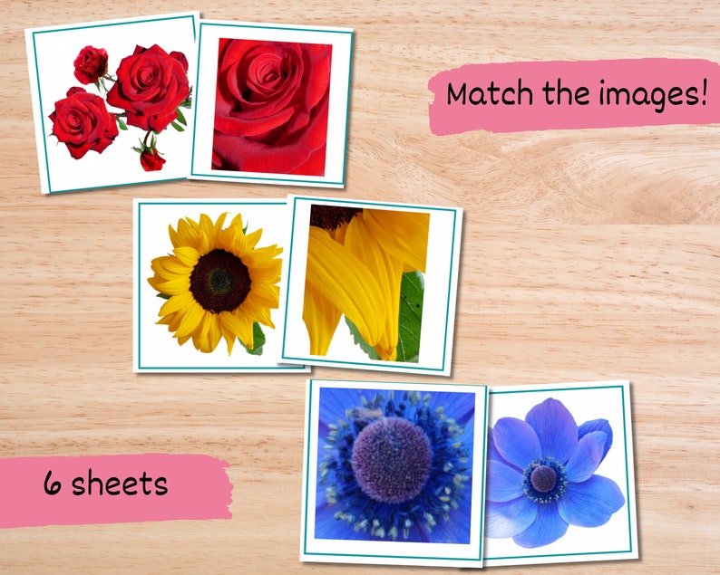May include: A matching game with six cards featuring close-up images of red roses, yellow sunflowers, and blue anemones. The text "Match the images!" is printed on a pink rectangle at the top of the image. The text "6 sheets" is printed on a pink rectangle at the bottom of the image.