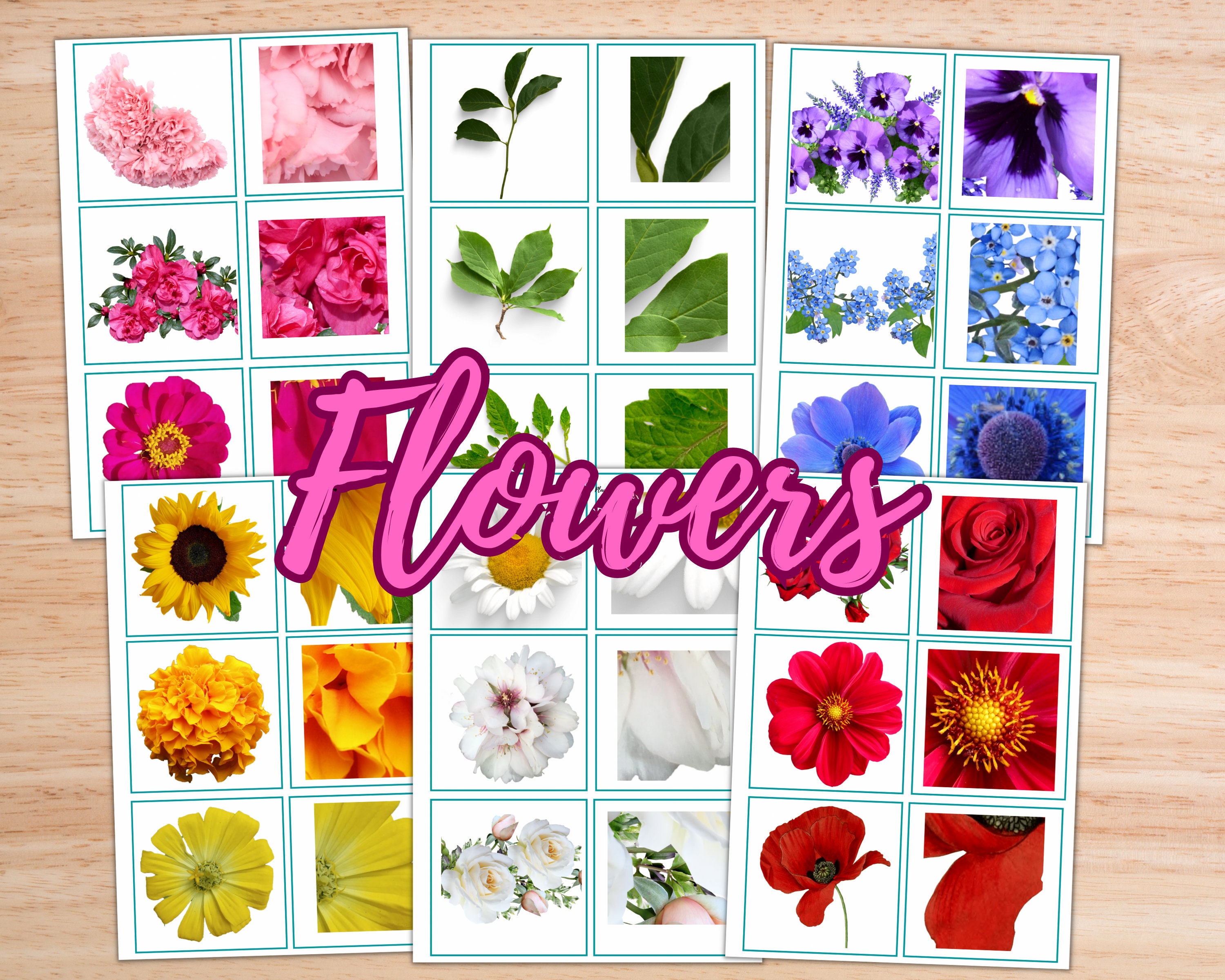 Activity Bundle for Seniors Matching Game Dementia Etsy